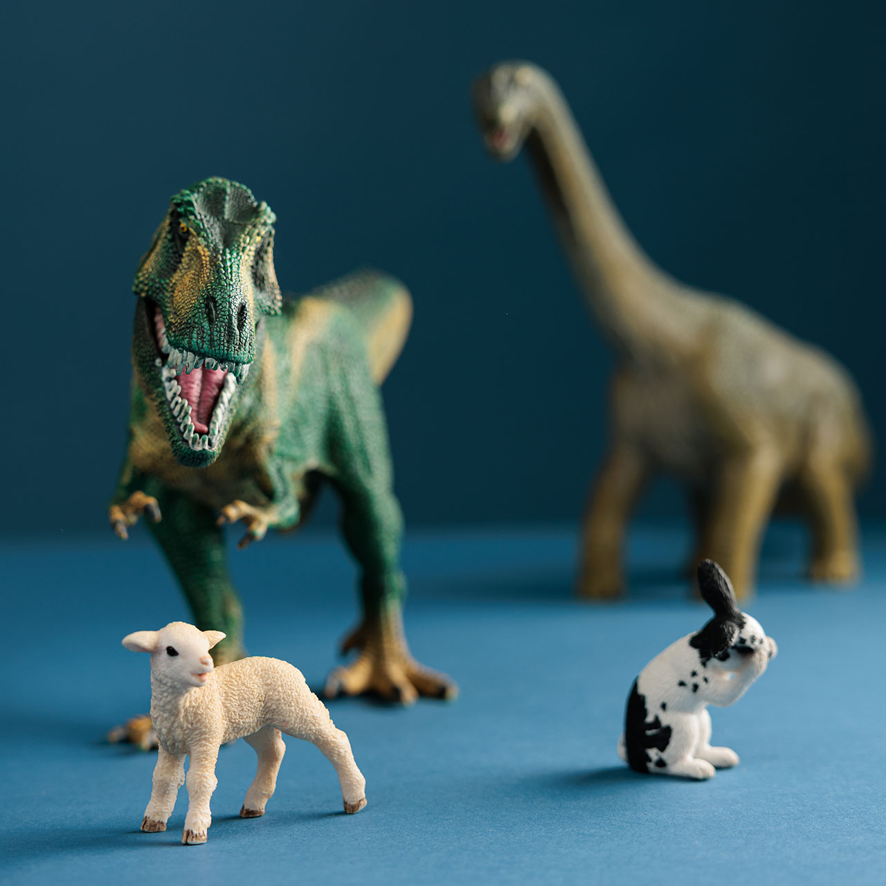 Andrea Tilkin – Beratung für Kinder und Jugendliche